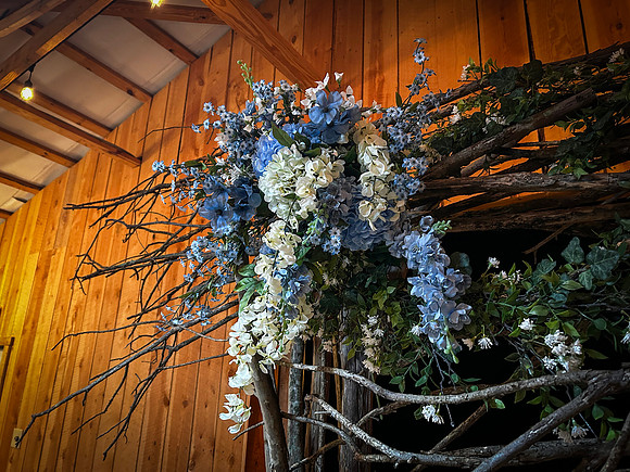 IMG_5297 copy