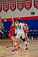 DSC_7620on1_pe