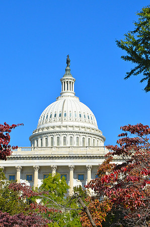DSC_6546