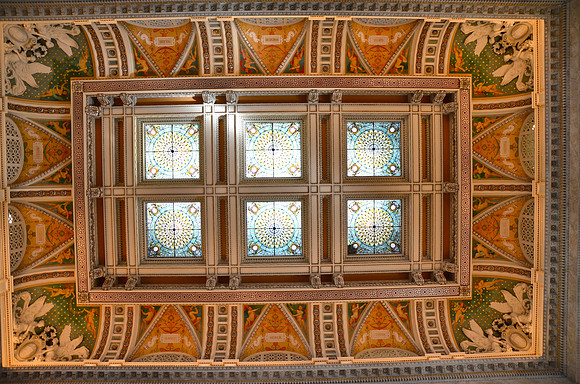 DSC_6490