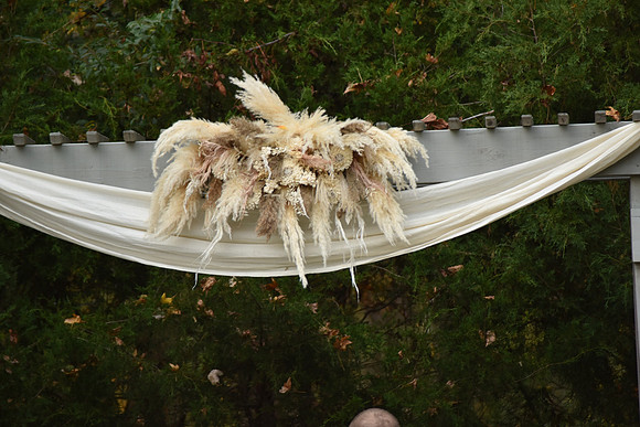 DSC_3123
