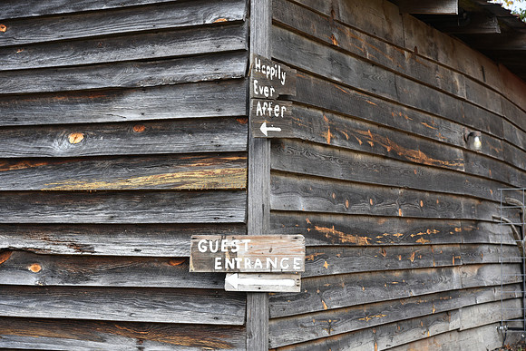 DSC_2718