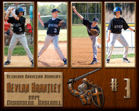 Devlans 8x10 Wood Template