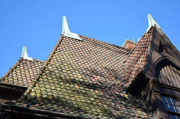 DSC_4268