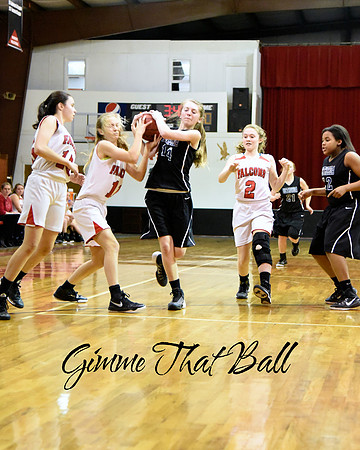 DSC_3547 Ball 1 copy