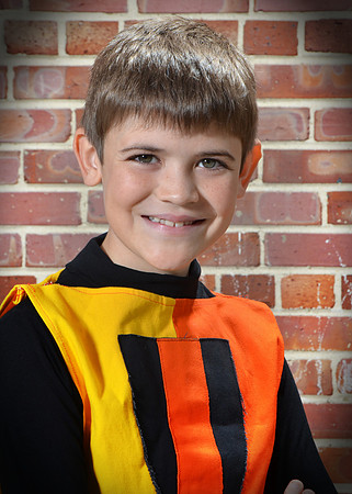 DSC_0809V