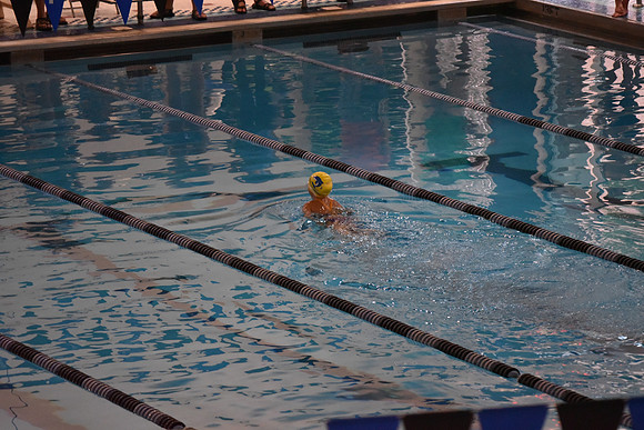 DSC_5570