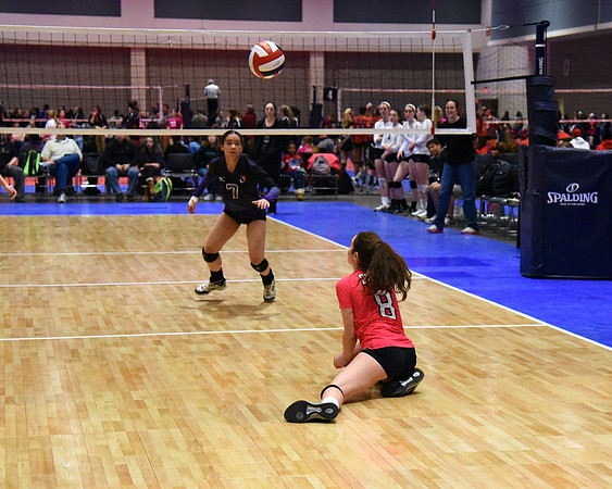 DSC_5047