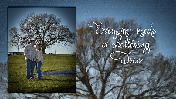 Sheltering tree