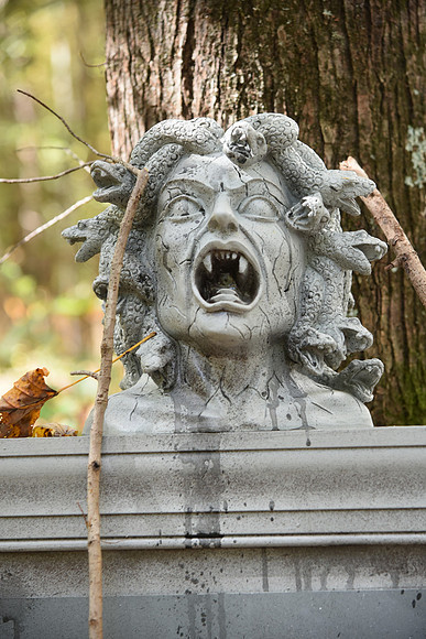 DSC_6555