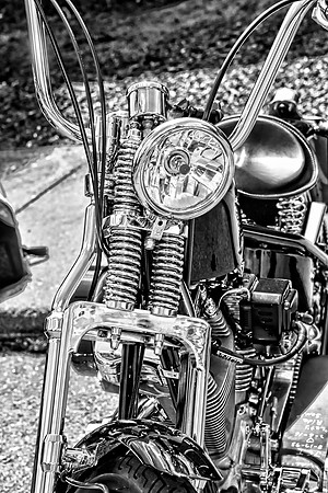 DSC_9629_pe