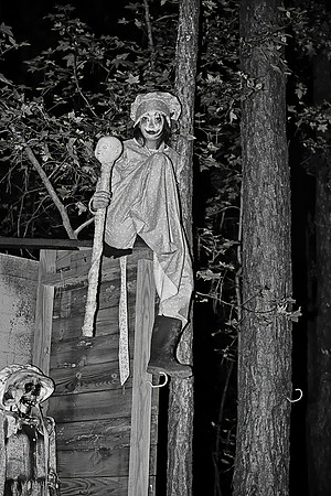 DSC_6681_pebw